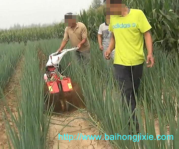 大葱专用开沟成人午夜福利视频APP
